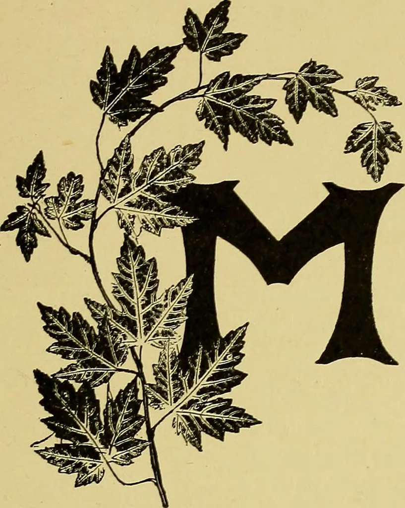 An illustration from Indoor and outdoor handicraft and recreation for girls, 1904, leaf 260