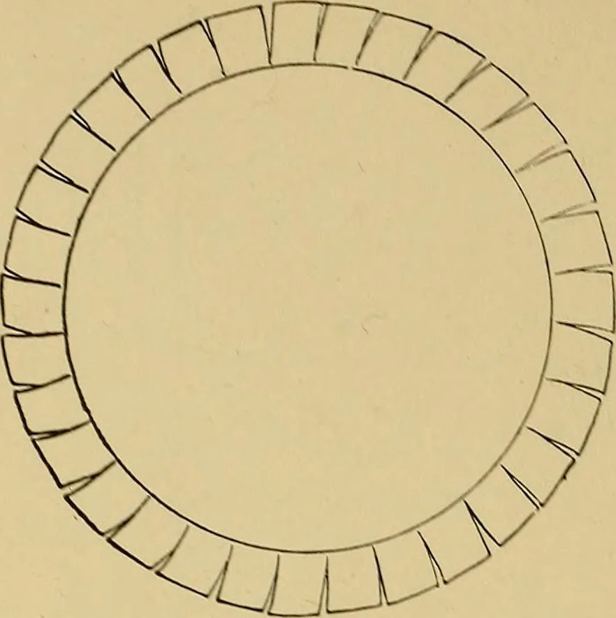 An illustration from Indoor and outdoor handicraft and recreation for girls, 1904, leaf 263
