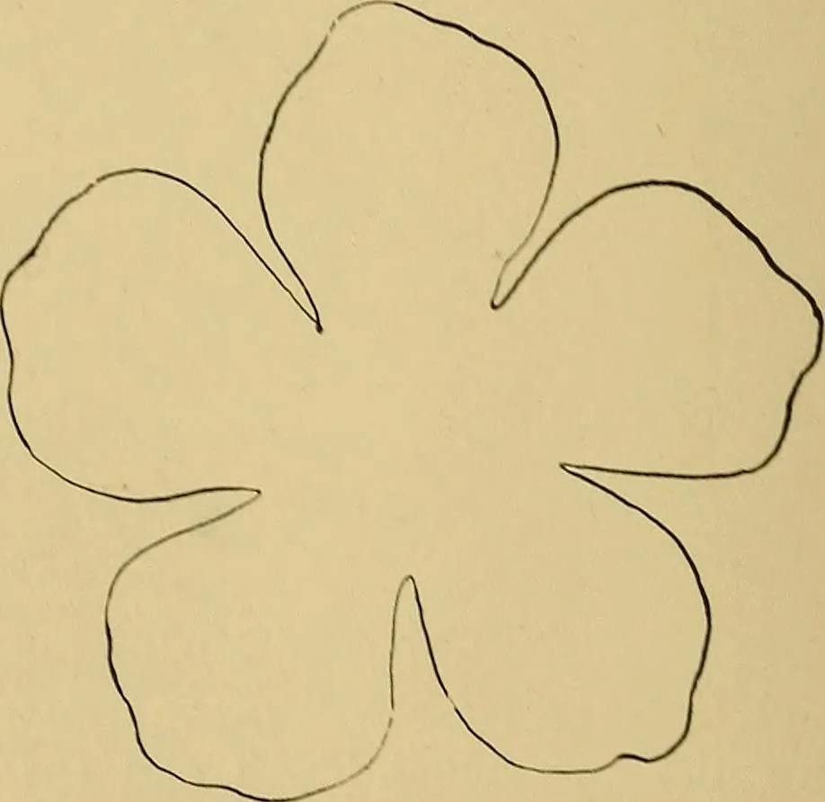 An illustration from Indoor and outdoor handicraft and recreation for girls, 1904, leaf 263