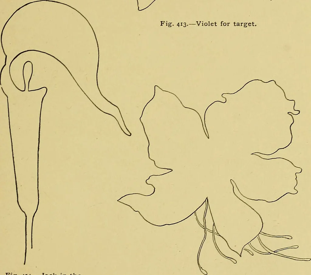 An illustration from Indoor and outdoor handicraft and recreation for girls, 1904, leaf 264