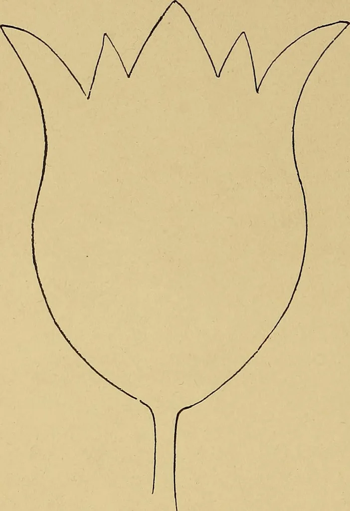 An illustration from Indoor and outdoor handicraft and recreation for girls, 1904, leaf 265
