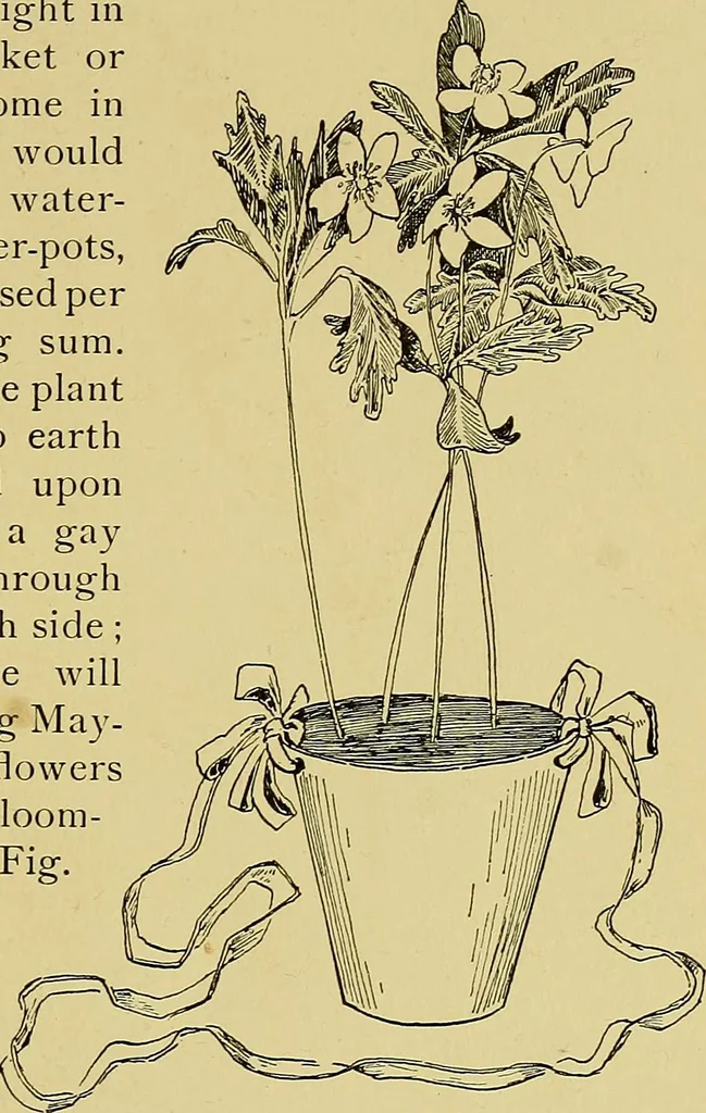 An illustration from Indoor and outdoor handicraft and recreation for girls, 1904, leaf 270