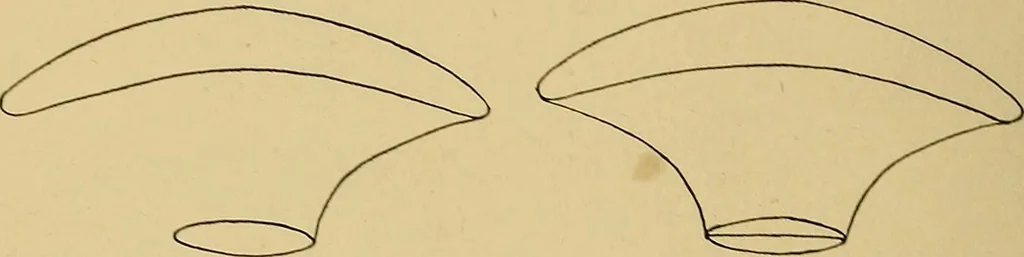An illustration from Indoor and outdoor handicraft and recreation for girls, 1904, leaf 271