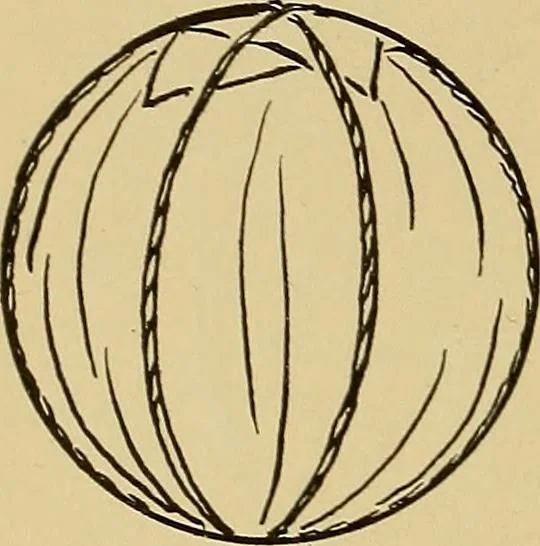 An illustration from Indoor and outdoor handicraft and recreation for girls, 1904, leaf 279