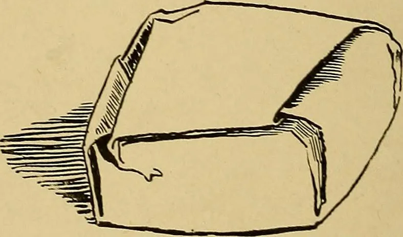 An illustration from Indoor and outdoor handicraft and recreation for girls, 1904, leaf 281