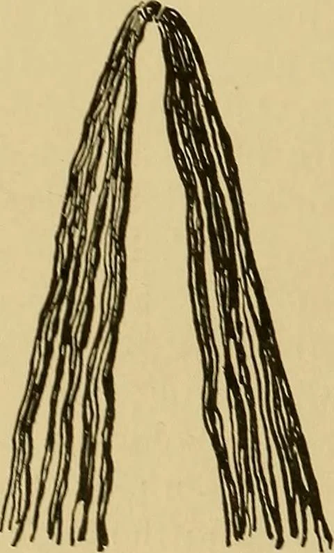 An illustration from Indoor and outdoor handicraft and recreation for girls, 1904, leaf 285