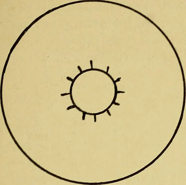An illustration from Indoor and outdoor handicraft and recreation for girls, 1904, leaf 286