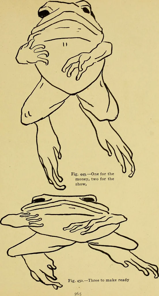 An illustration from Indoor and outdoor handicraft and recreation for girls, 1904, leaf 294