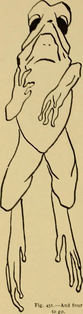 An illustration from Indoor and outdoor handicraft and recreation for girls, 1904, leaf 295