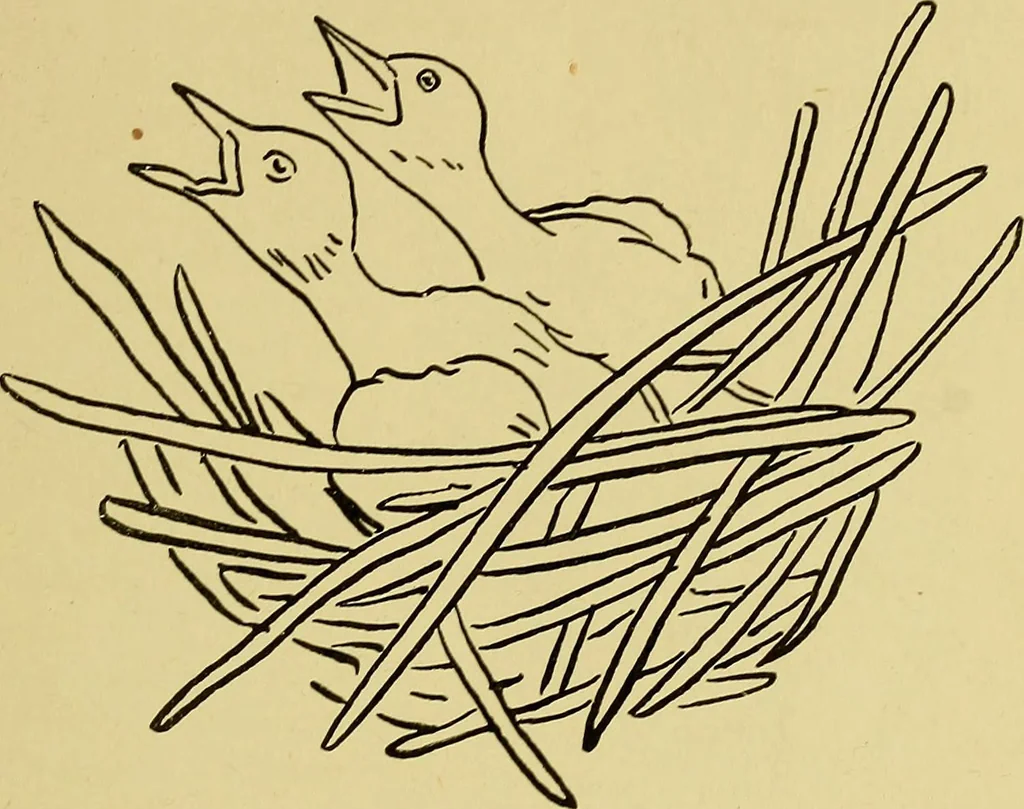 An illustration from Indoor and outdoor handicraft and recreation for girls, 1904, leaf 296