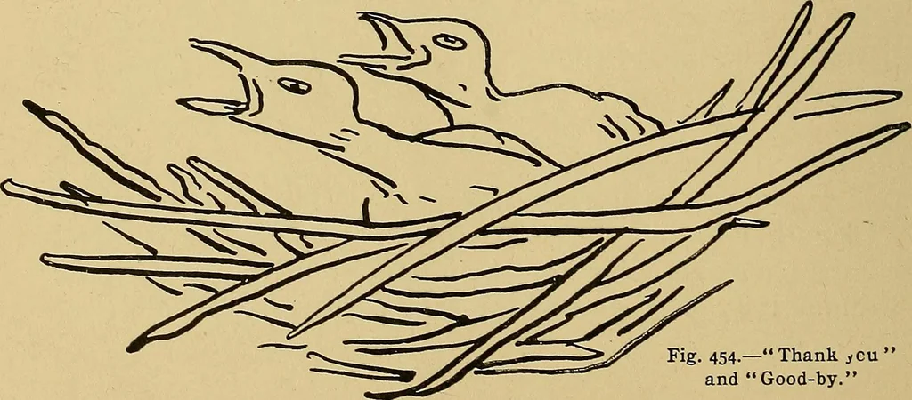 An illustration from Indoor and outdoor handicraft and recreation for girls, 1904, leaf 297