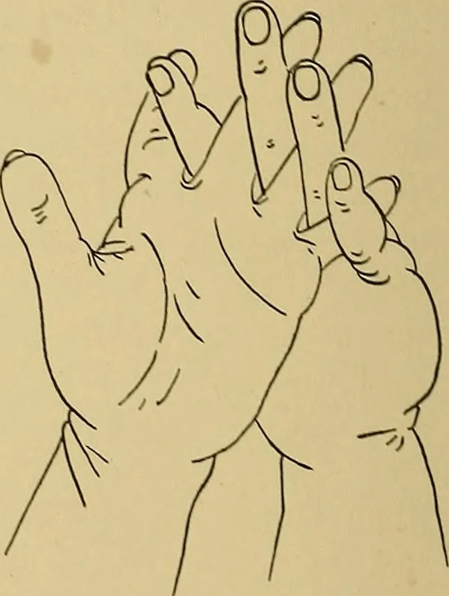 An illustration from Indoor and outdoor handicraft and recreation for girls, 1904, leaf 305