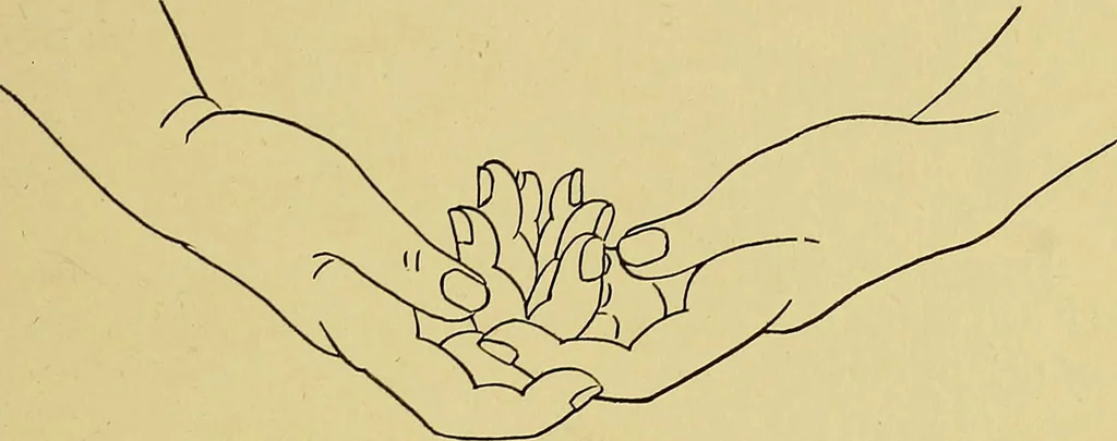 An illustration from Indoor and outdoor handicraft and recreation for girls, 1904, leaf 308