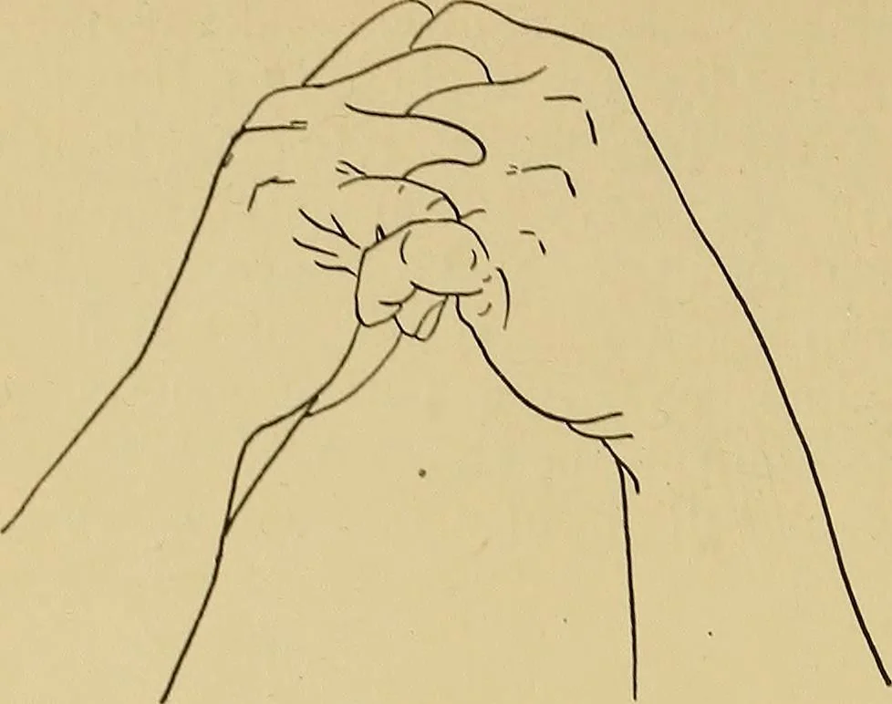 An illustration from Indoor and outdoor handicraft and recreation for girls, 1904, leaf 309