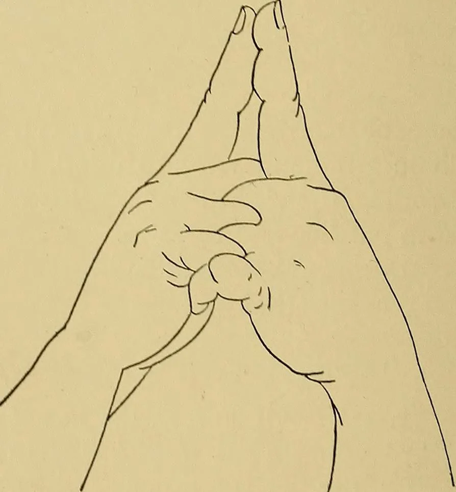 An illustration from Indoor and outdoor handicraft and recreation for girls, 1904, leaf 309