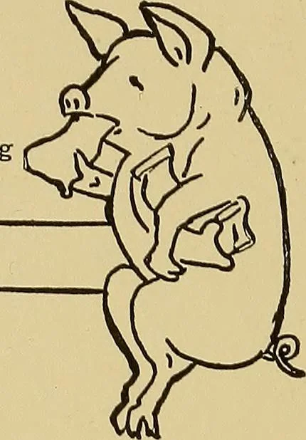 An illustration from Indoor and outdoor handicraft and recreation for girls, 1904, leaf 313