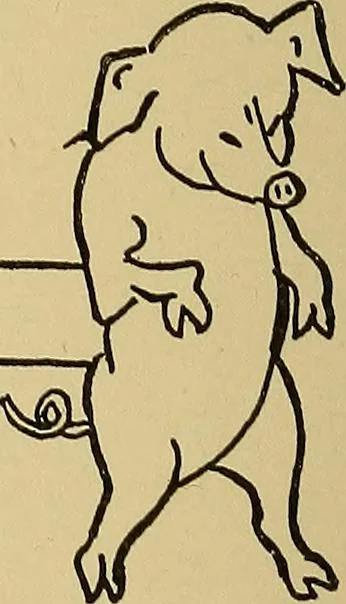 An illustration from Indoor and outdoor handicraft and recreation for girls, 1904, leaf 313