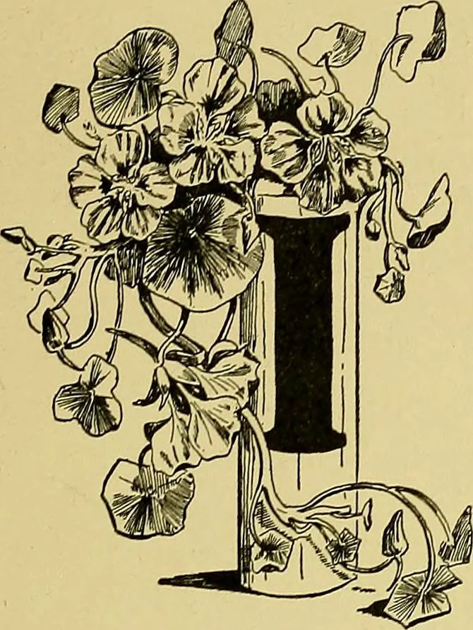 An illustration from Indoor and outdoor handicraft and recreation for girls, 1904, leaf 318