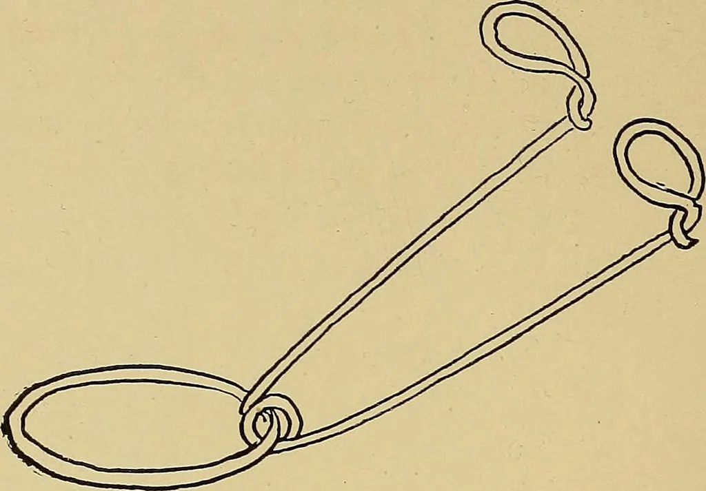 An illustration from Indoor and outdoor handicraft and recreation for girls, 1904, leaf 325
