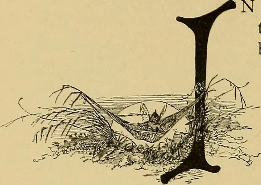 An illustration from Indoor and outdoor handicraft and recreation for girls, 1904, leaf 327