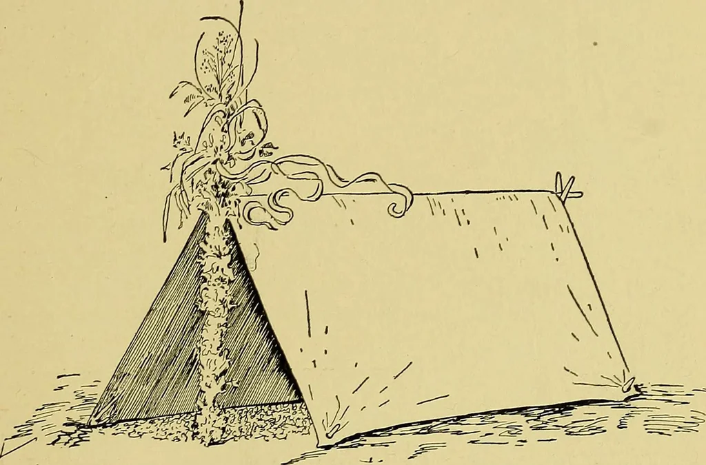 An illustration from Indoor and outdoor handicraft and recreation for girls, 1904, leaf 336