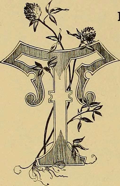 An illustration from Indoor and outdoor handicraft and recreation for girls, 1904, leaf 337