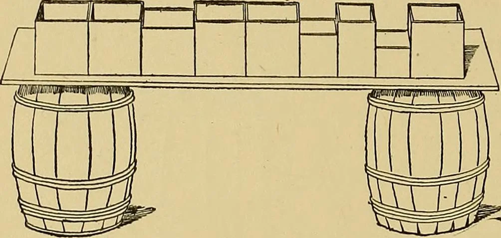 An illustration from Indoor and outdoor handicraft and recreation for girls, 1904, leaf 341