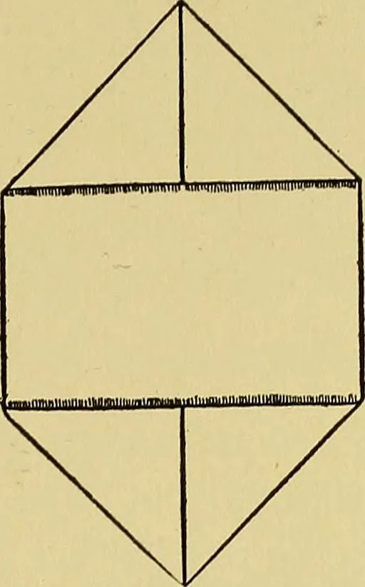 An illustration from Indoor and outdoor handicraft and recreation for girls, 1904, leaf 344