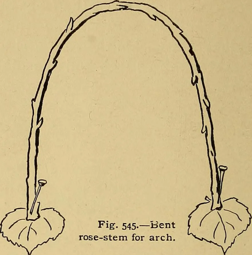 An illustration from Indoor and outdoor handicraft and recreation for girls, 1904, leaf 355