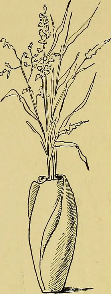 An illustration from Indoor and outdoor handicraft and recreation for girls, 1904, leaf 356