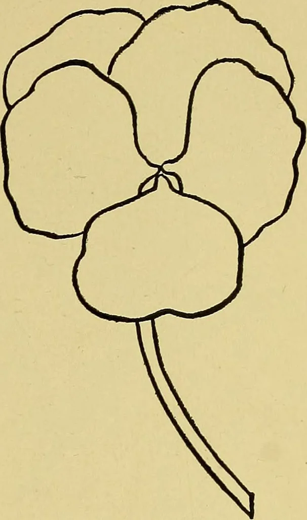 An illustration from Indoor and outdoor handicraft and recreation for girls, 1904, leaf 358