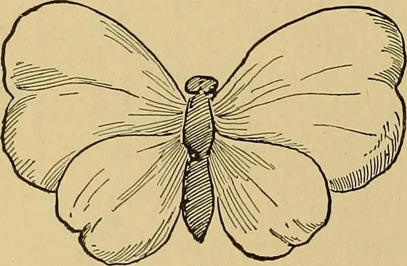 An illustration from Indoor and outdoor handicraft and recreation for girls, 1904, leaf 359