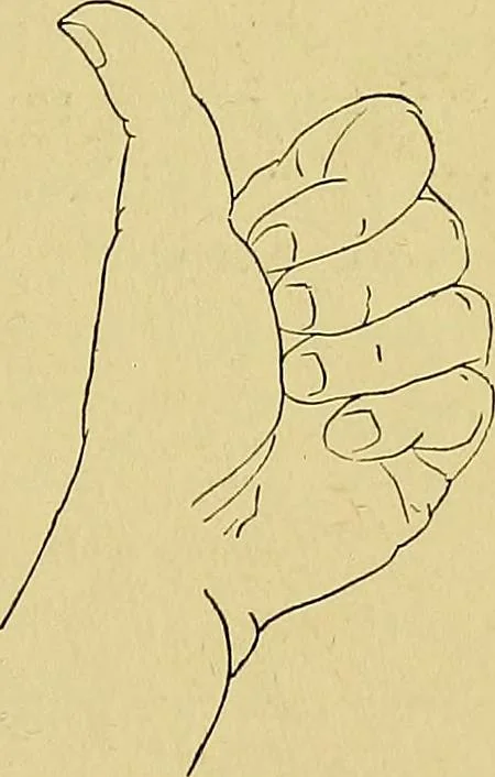An illustration from Indoor and outdoor handicraft and recreation for girls, 1904, leaf 364