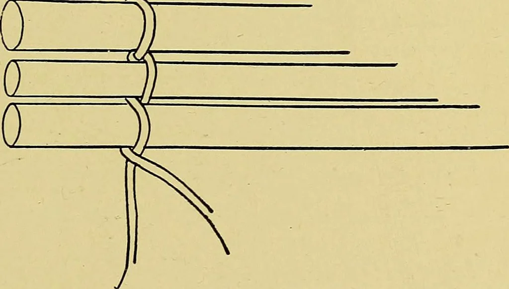 An illustration from Indoor and outdoor handicraft and recreation for girls, 1904, leaf 62
