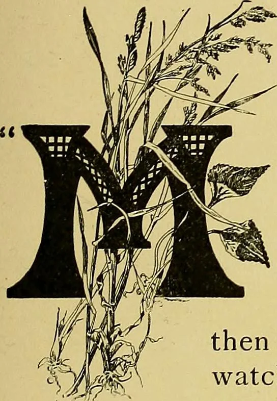 An illustration from Indoor and outdoor handicraft and recreation for girls, 1904, leaf 70