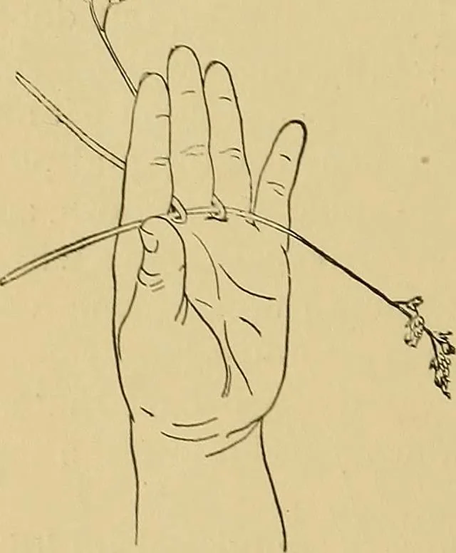 An illustration from Indoor and outdoor handicraft and recreation for girls, 1904, leaf 71