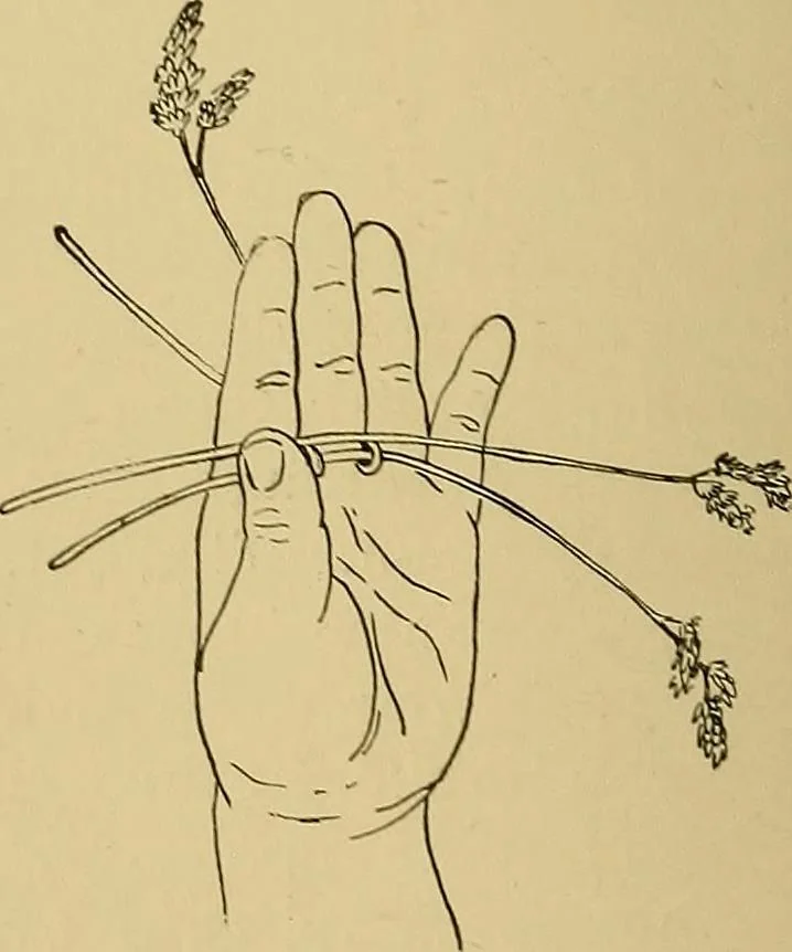 An illustration from Indoor and outdoor handicraft and recreation for girls, 1904, leaf 71