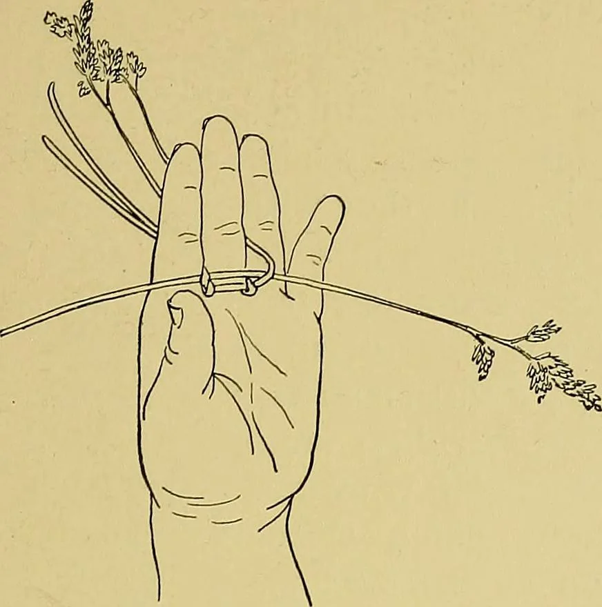 An illustration from Indoor and outdoor handicraft and recreation for girls, 1904, leaf 72