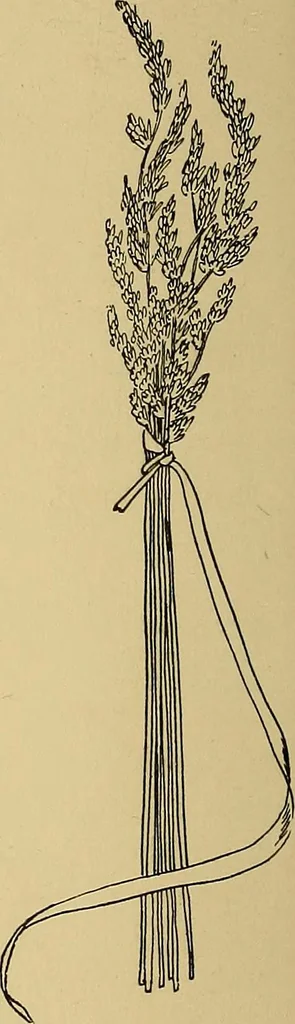 An illustration from Indoor and outdoor handicraft and recreation for girls, 1904, leaf 75