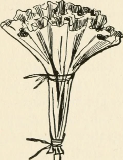 An illustration from Indoor and outdoor recreations for girls, 1906, leaf 113