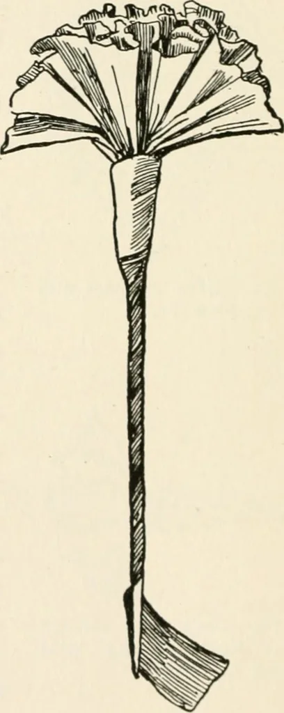 An illustration from Indoor and outdoor recreations for girls, 1906, leaf 113