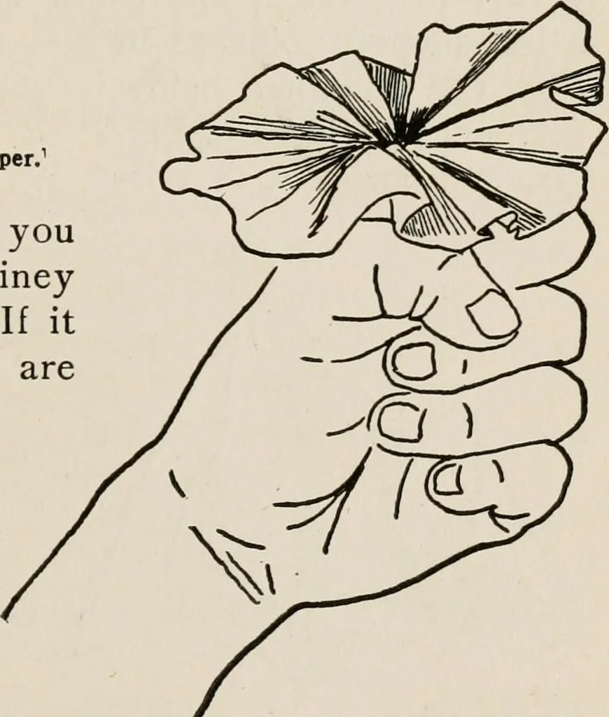 An illustration from Indoor and outdoor recreations for girls, 1906, leaf 116