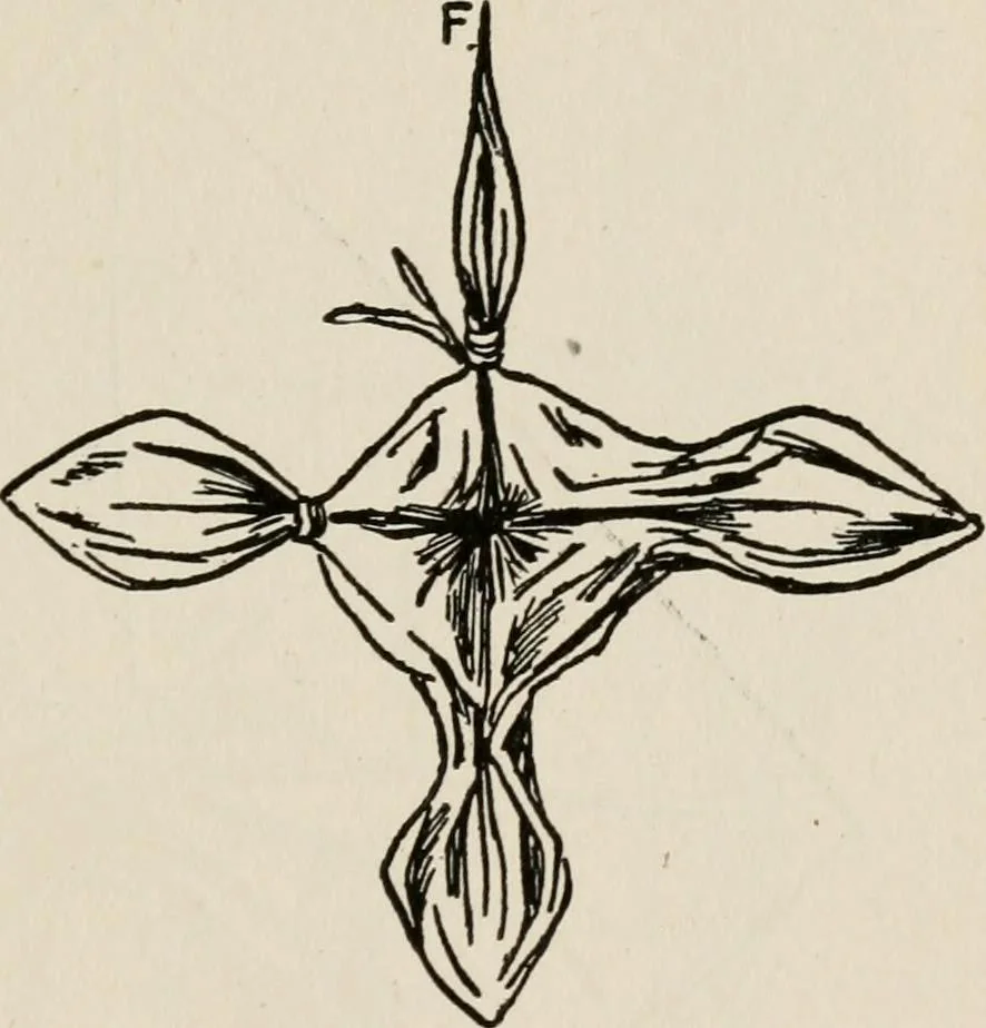 An illustration from Indoor and outdoor recreations for girls, 1906, leaf 118