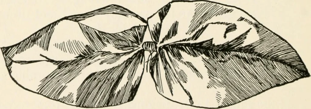An illustration from Indoor and outdoor recreations for girls, 1906, leaf 119