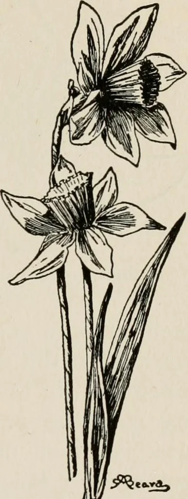 An illustration from Indoor and outdoor recreations for girls, 1906, leaf 120