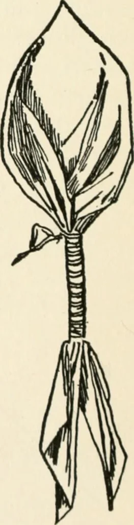 An illustration from Indoor and outdoor recreations for girls, 1906, leaf 121