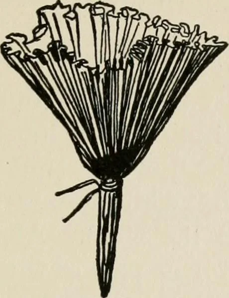 An illustration from Indoor and outdoor recreations for girls, 1906, leaf 122