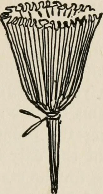An illustration from Indoor and outdoor recreations for girls, 1906, leaf 122