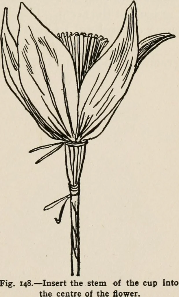 An illustration from Indoor and outdoor recreations for girls, 1906, leaf 122