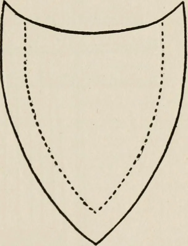 An illustration from Indoor and outdoor recreations for girls, 1906, leaf 146